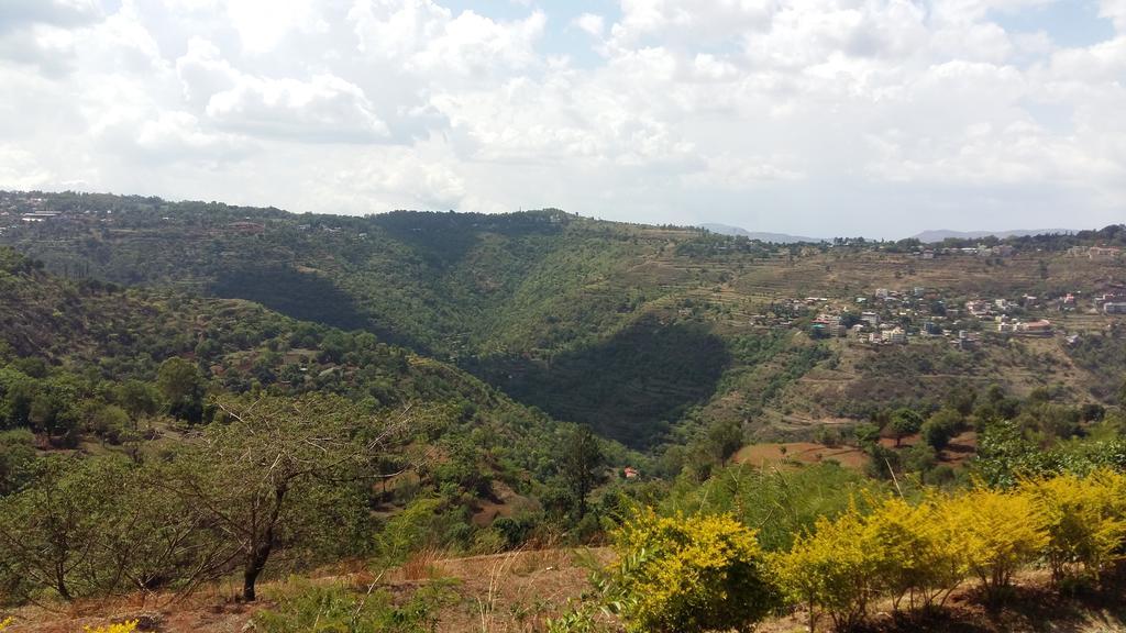 Hill Top Villa Panchgani Dış mekan fotoğraf